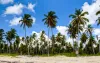 Punta Cana, Dominican Republic: Essential Digital Nomad Lifestyle Tips